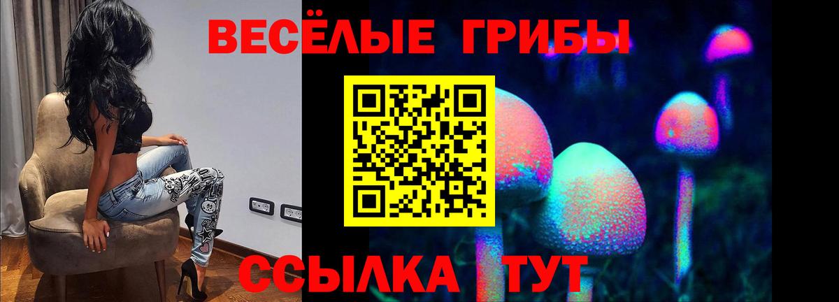 Галлюциногенные грибы GOLDEN TEACHER  Вход с VPN  Чита 